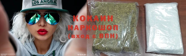 СК Медвежьегорск