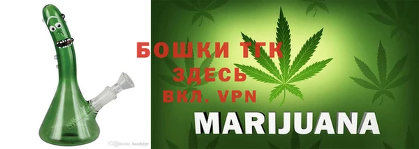 СК Медвежьегорск