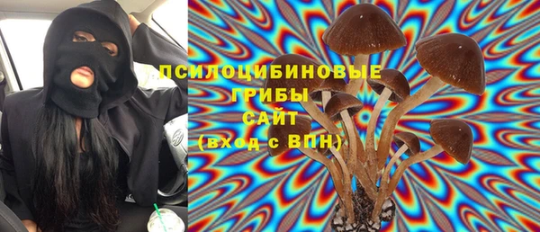СК Медвежьегорск
