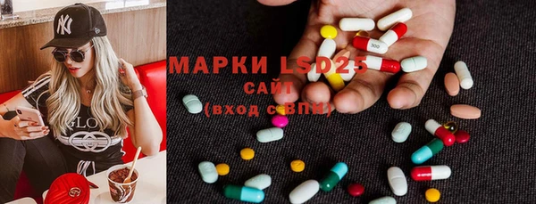 СК Медвежьегорск