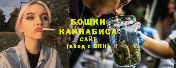 СК Медвежьегорск